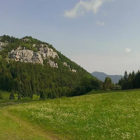 Alpina Appartement *