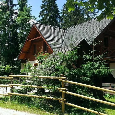 Apartament Alpina *