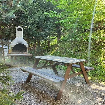 Apartament Alpina
