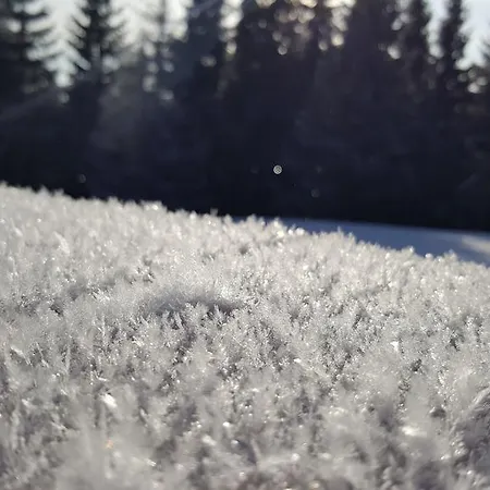 Alpina Rużomberk