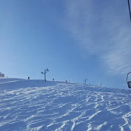 Alpina Apartament *